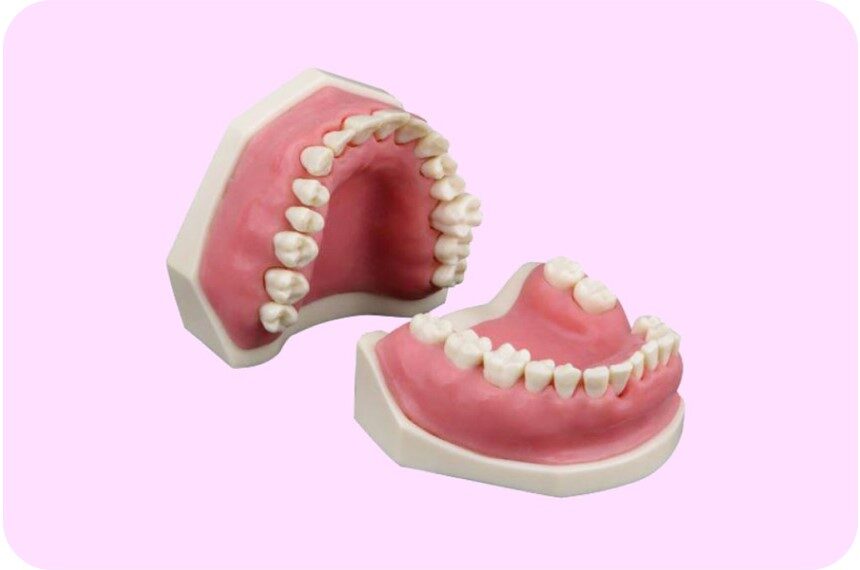 Dontic Upper & Lower - تصویر 2
