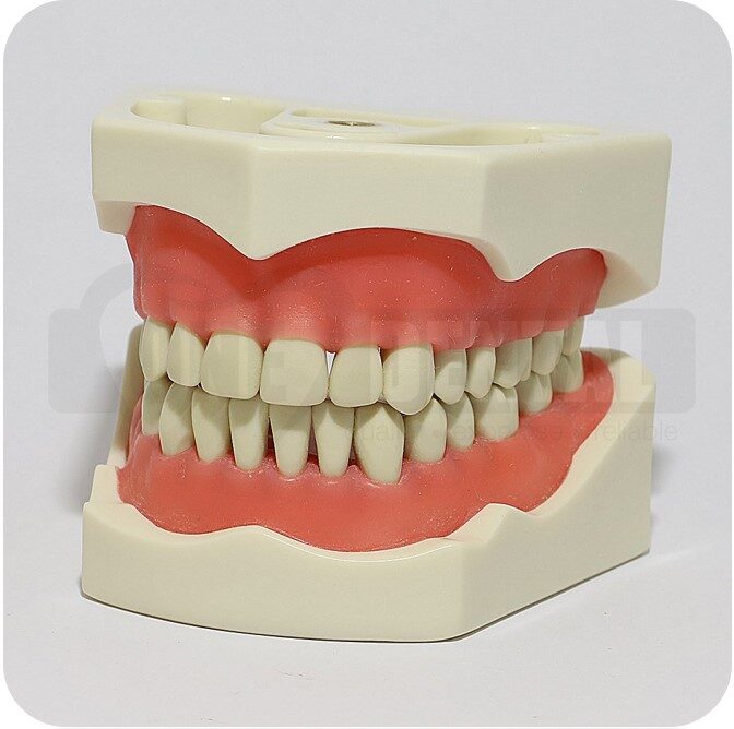 Dontic Upper & Lower